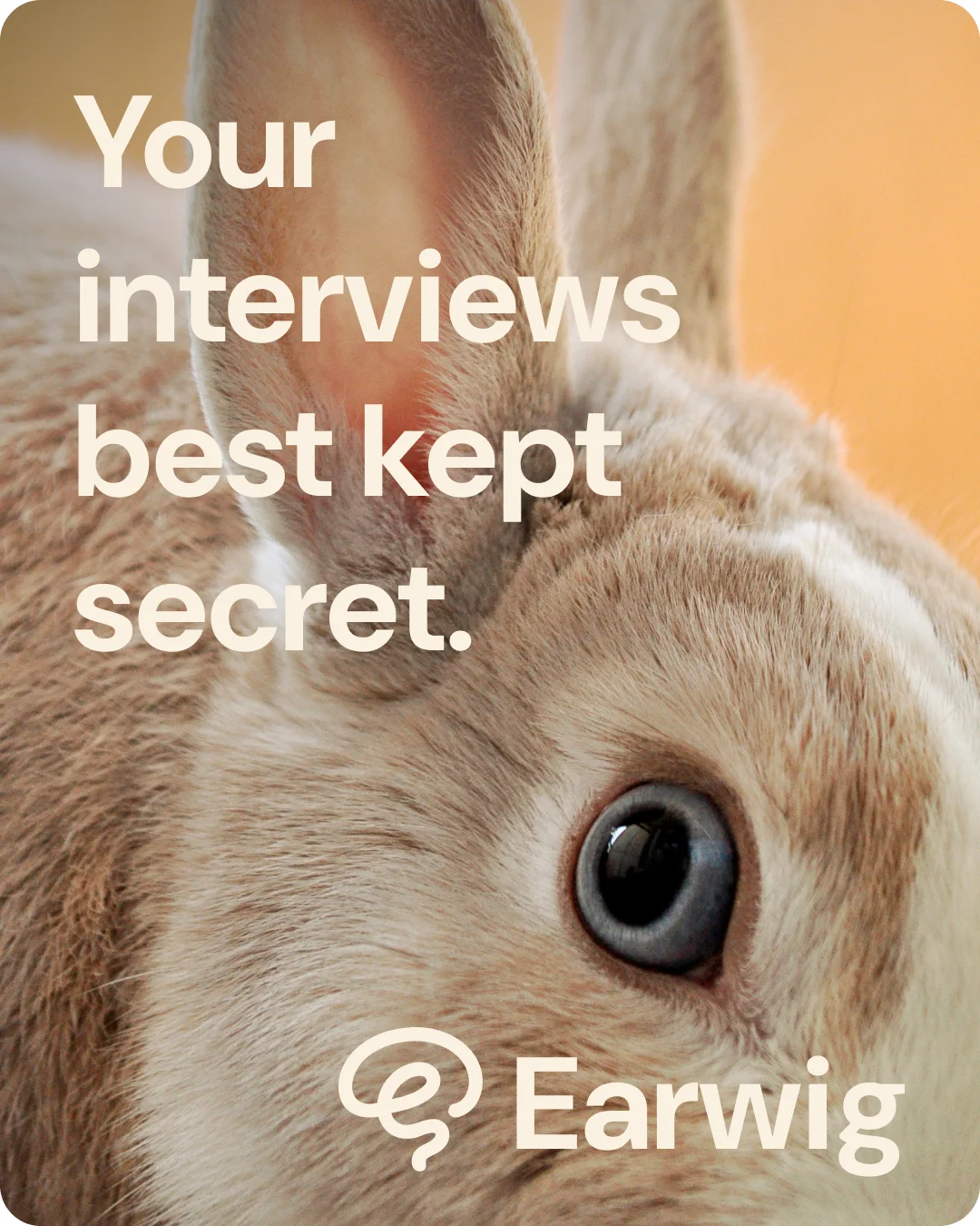 Earwig - every interviewer's best kept secret
